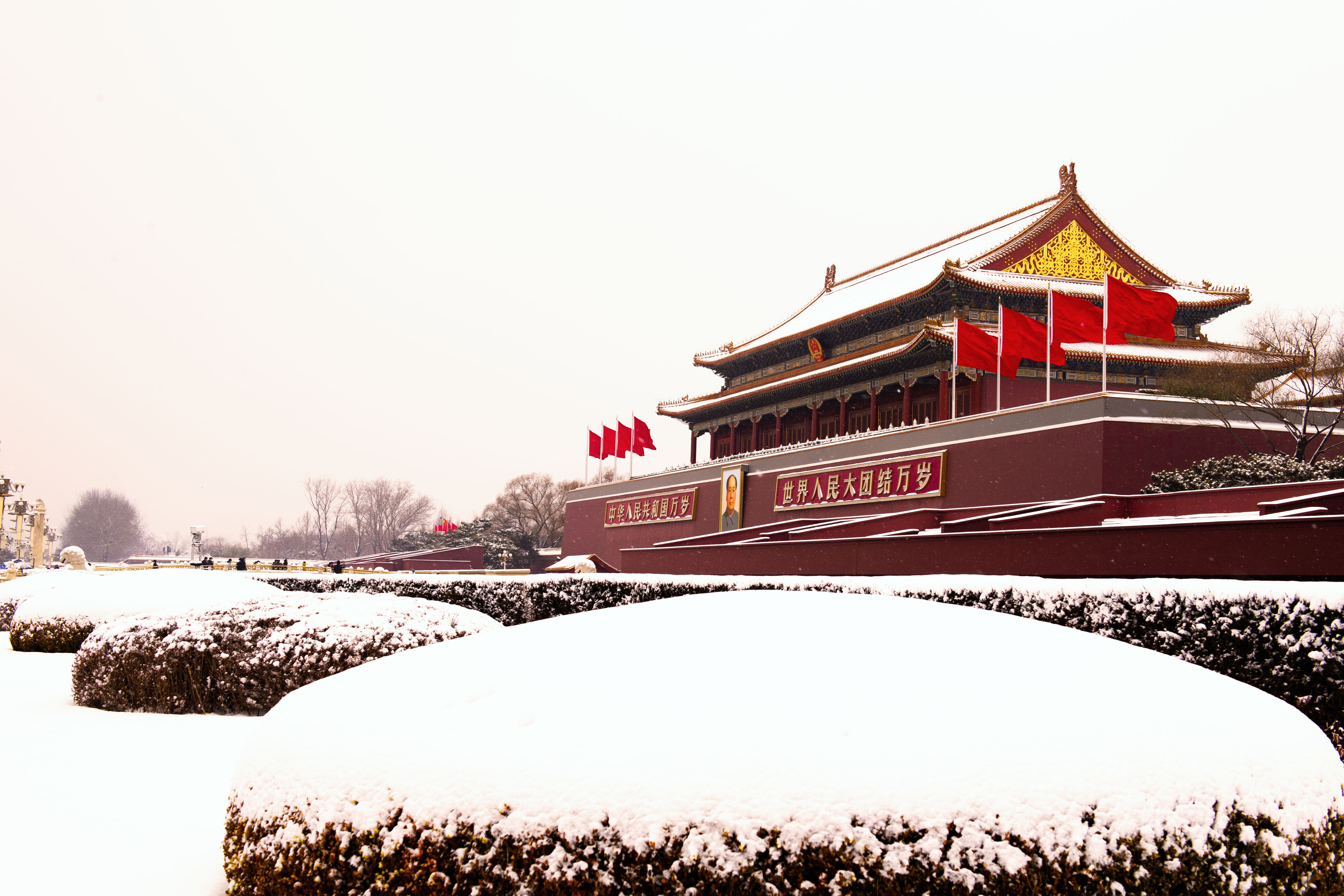 1702254852163584.jpg 2021年2月13日天安门广场下雪了-1.jpg